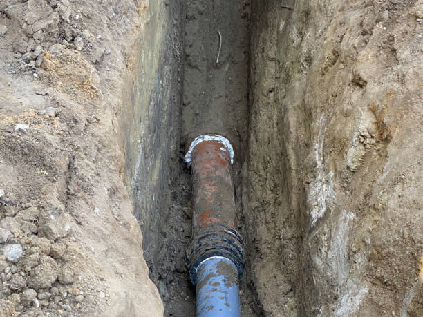 Best Local water damage restoration  in St James, MN