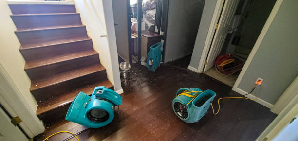 Best 24/7 water damage repair  in St James, MN