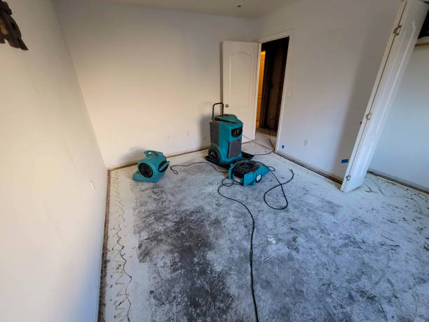 Water damage restoration mold remediation in St James, MN