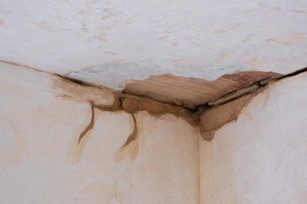 Best Water damage restoration near me  in St James, MN