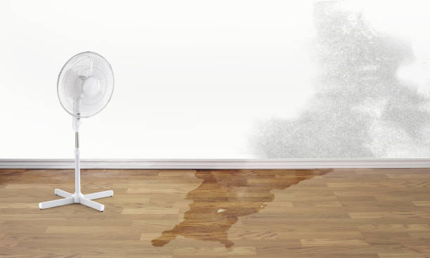 Best 24-hour water damage restoration  in St James, MN