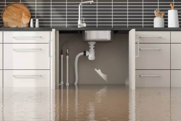 Best Mold removal after water damage  in St James, MN