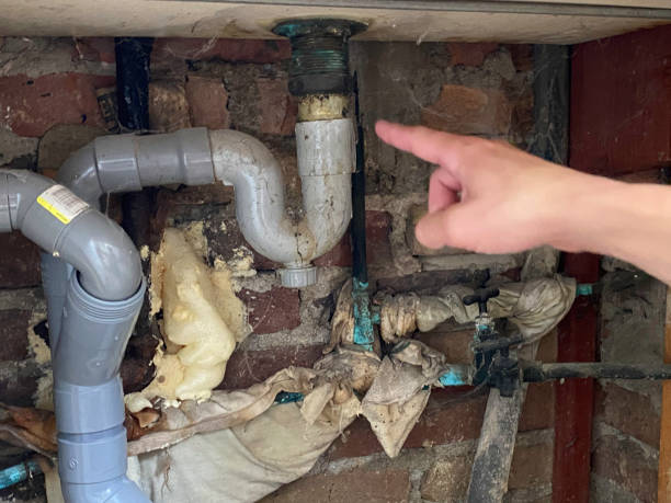 Best Fire Damage Restoration  in St James, MN