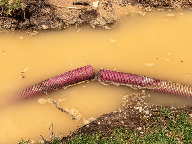 Best Professional water damage repair  in St James, MN