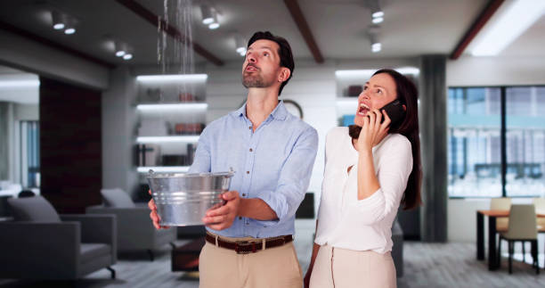 Best Water damage restoration experts  in St James, MN
