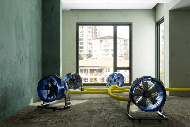 Professional Water damage restoration in St James, MN